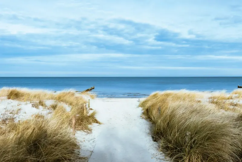 Sandy path through the dunes to the sea