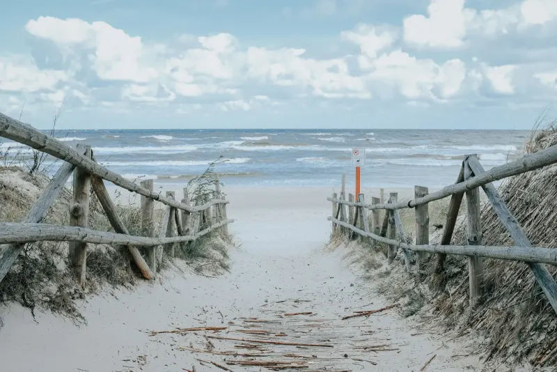 Beach access with a wooden fence between the dunes